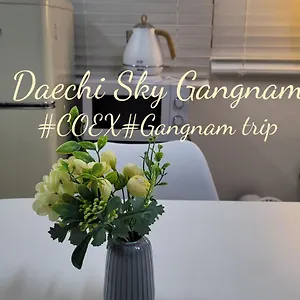 Apartment Daechi Sky Gangnam Seoul