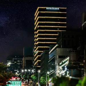 Eliena Gangnam Hotel 4*