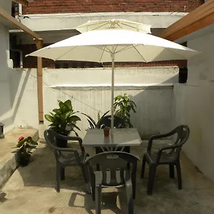 Kame House * Seoul